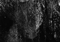 Fingerprint lifted with black Gellifter