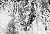 Lifted fingerprint on black gellifter after inverting the colors