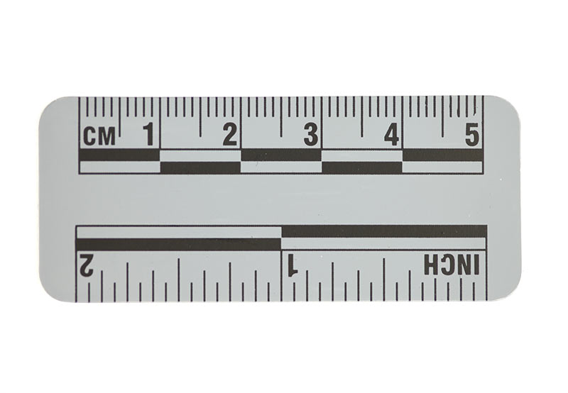 centimeter ruler to scale