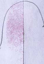 Links: 5-MTN, rechts: DFO behandelde helft van een vingerafdruk